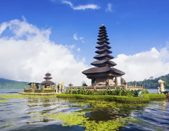 Bali Cultural & Heritage Tour (Cultural Exploration)