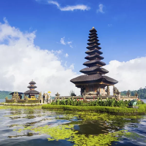 Bali Cultural & Heritage Tour (Cultural Exploration)