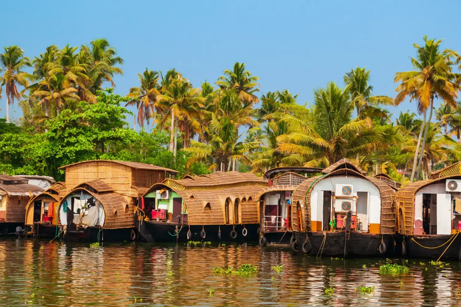 Kerala 2–3 Days Quick Getaway Package
